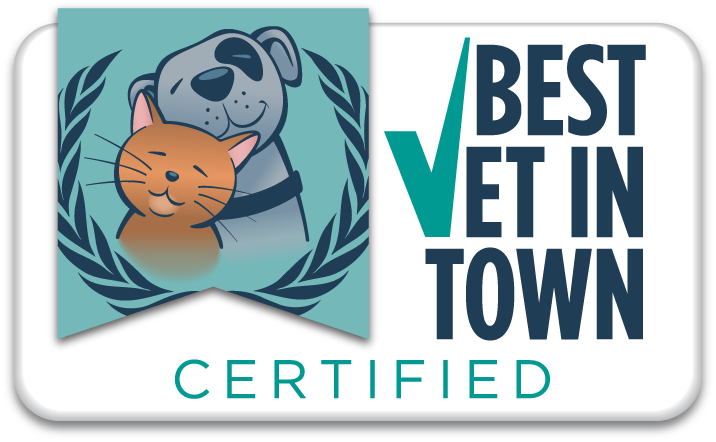 WIndmill Selected Best Vet In Abilene