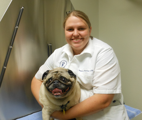 Dr. Barnhart - Abilene Vet