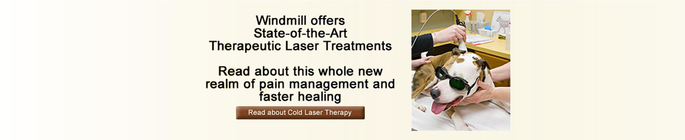 Cold Laser Therapy