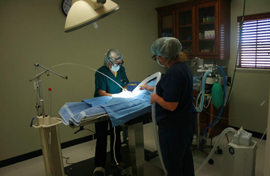 state-of-the-art surgical suite