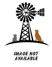Windmill Staff